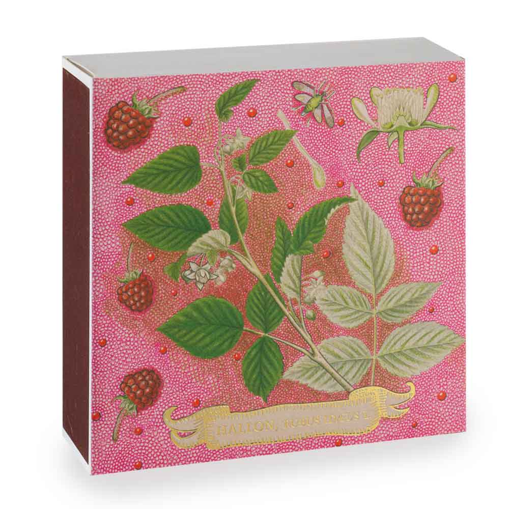 Luxury Matches Rose Framboise B379