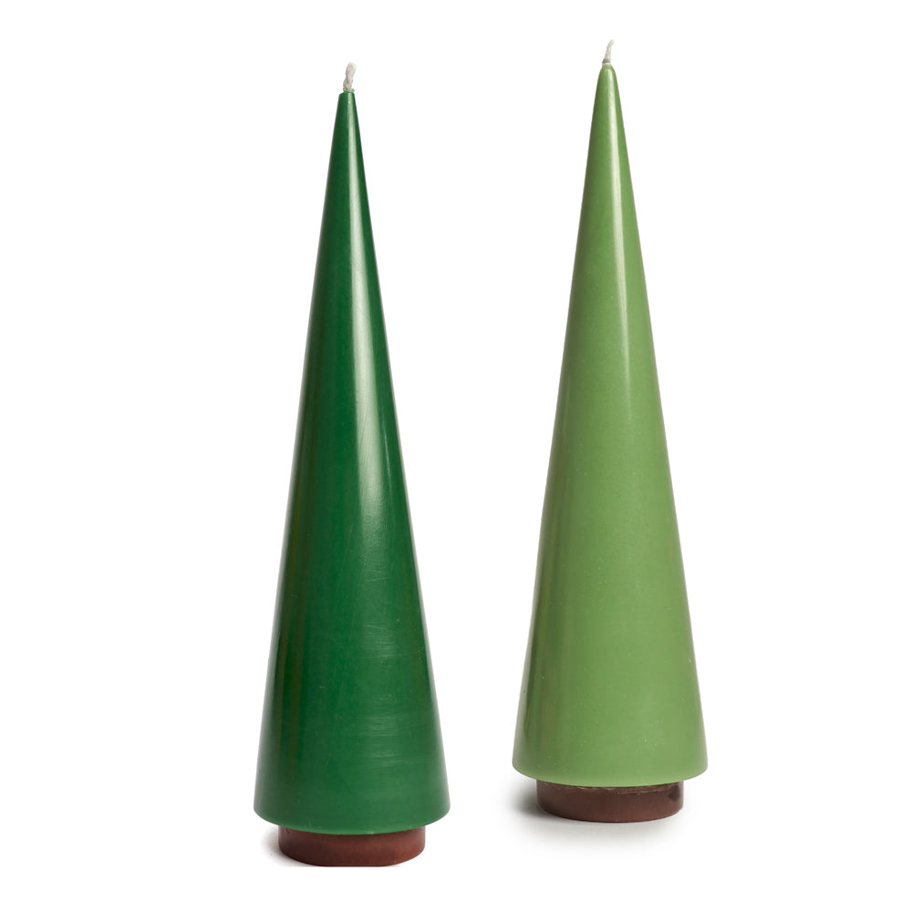 Candle Tree Big Salbei