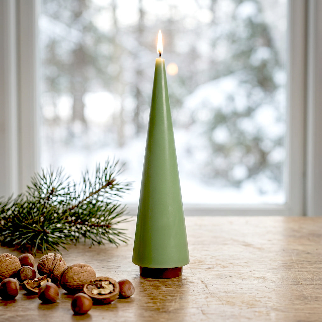 Candle Tree Big Salbei