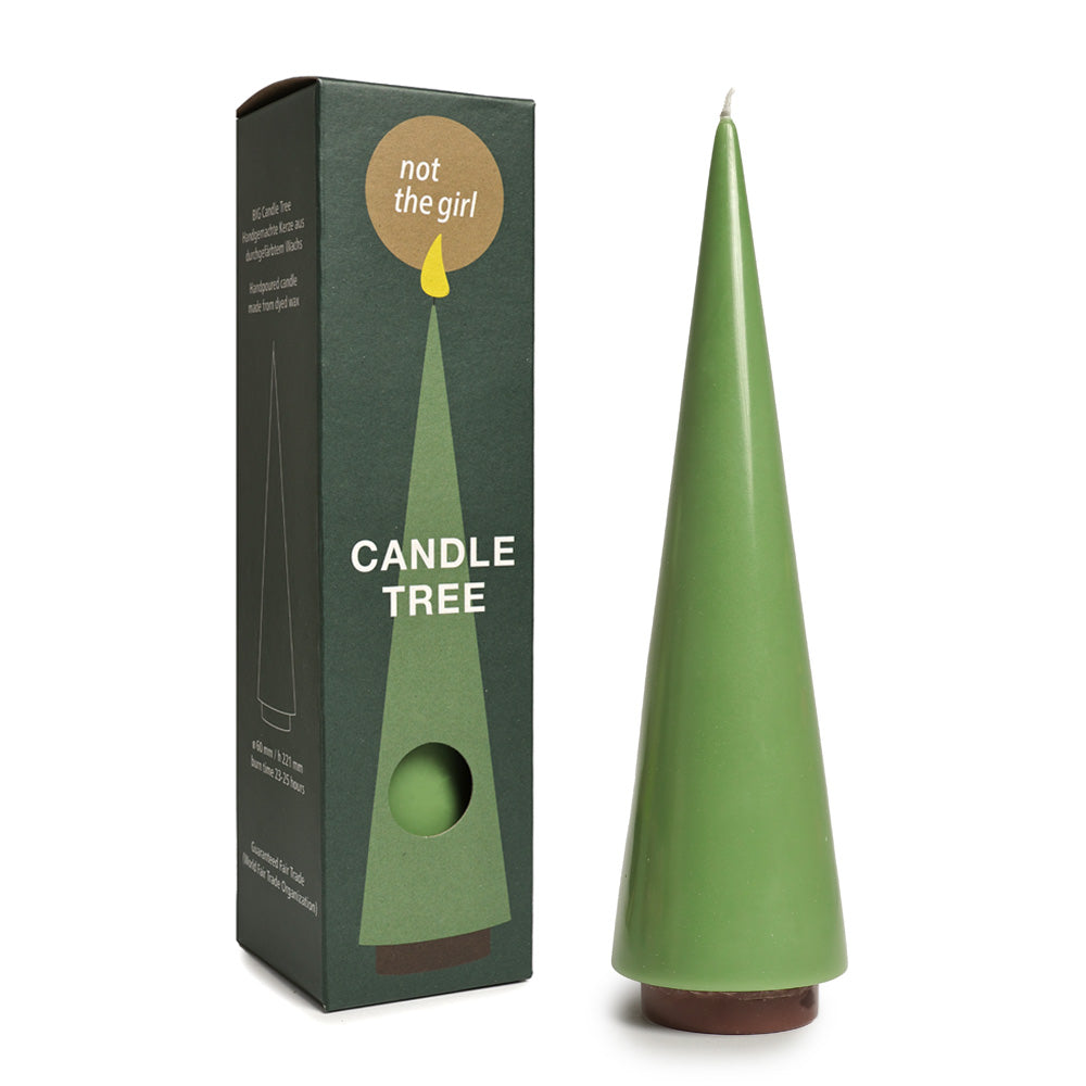 Candle Tree Big Salbei