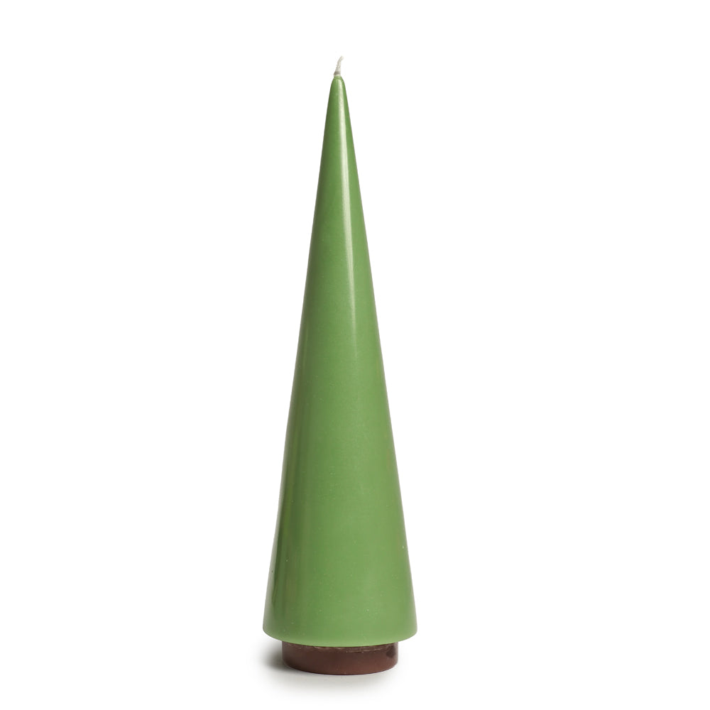 Candle Tree Big Salbei