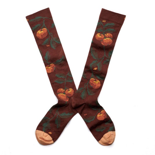 Knee-Highs Apple and Chestnut AT 903 (39-41)