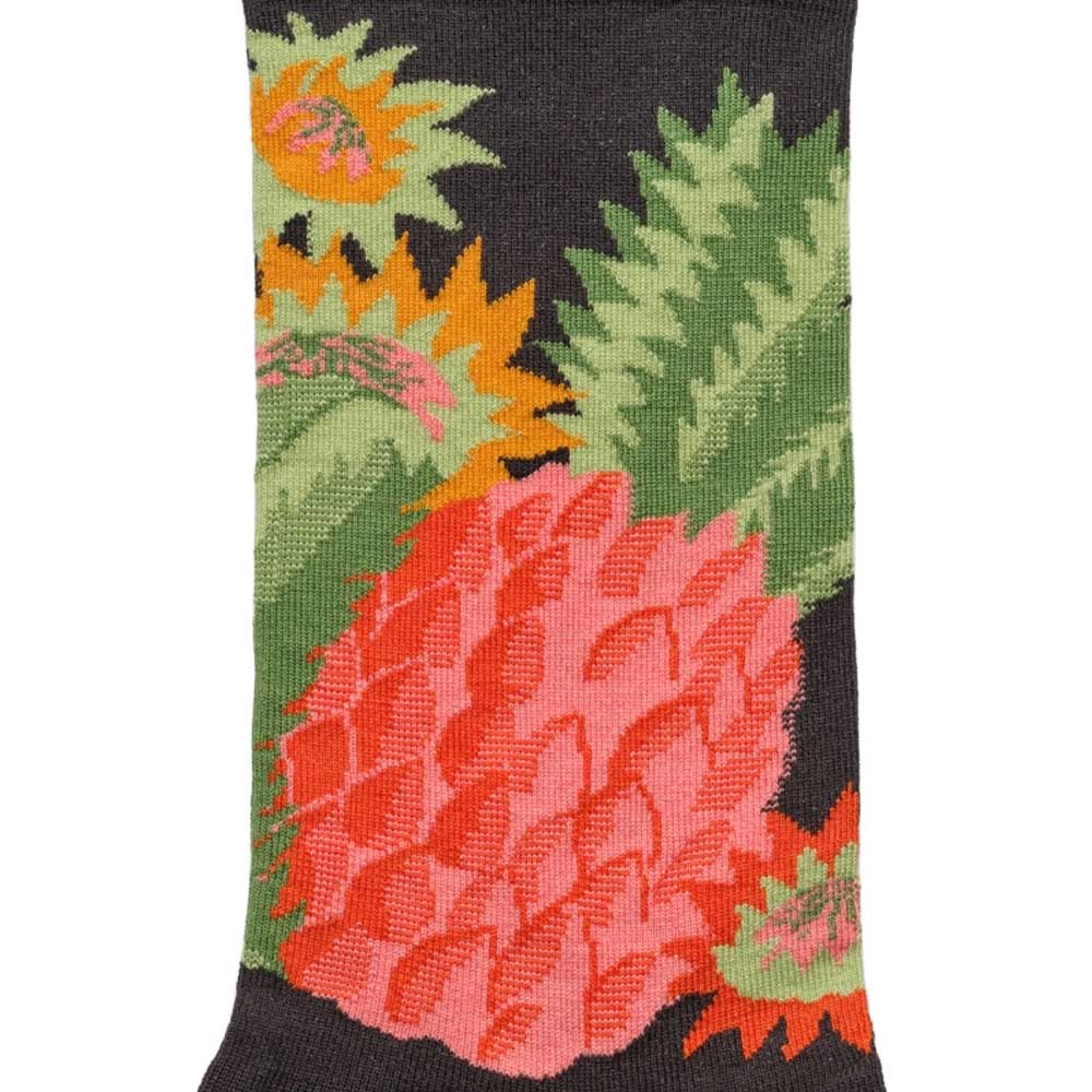 Socks Pineapple EV 201 (39-41)