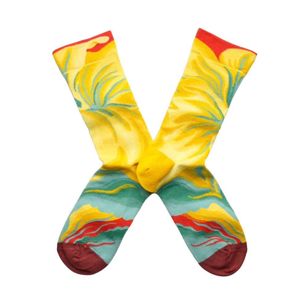 Socks Fleur Multico FS901 (39-41)