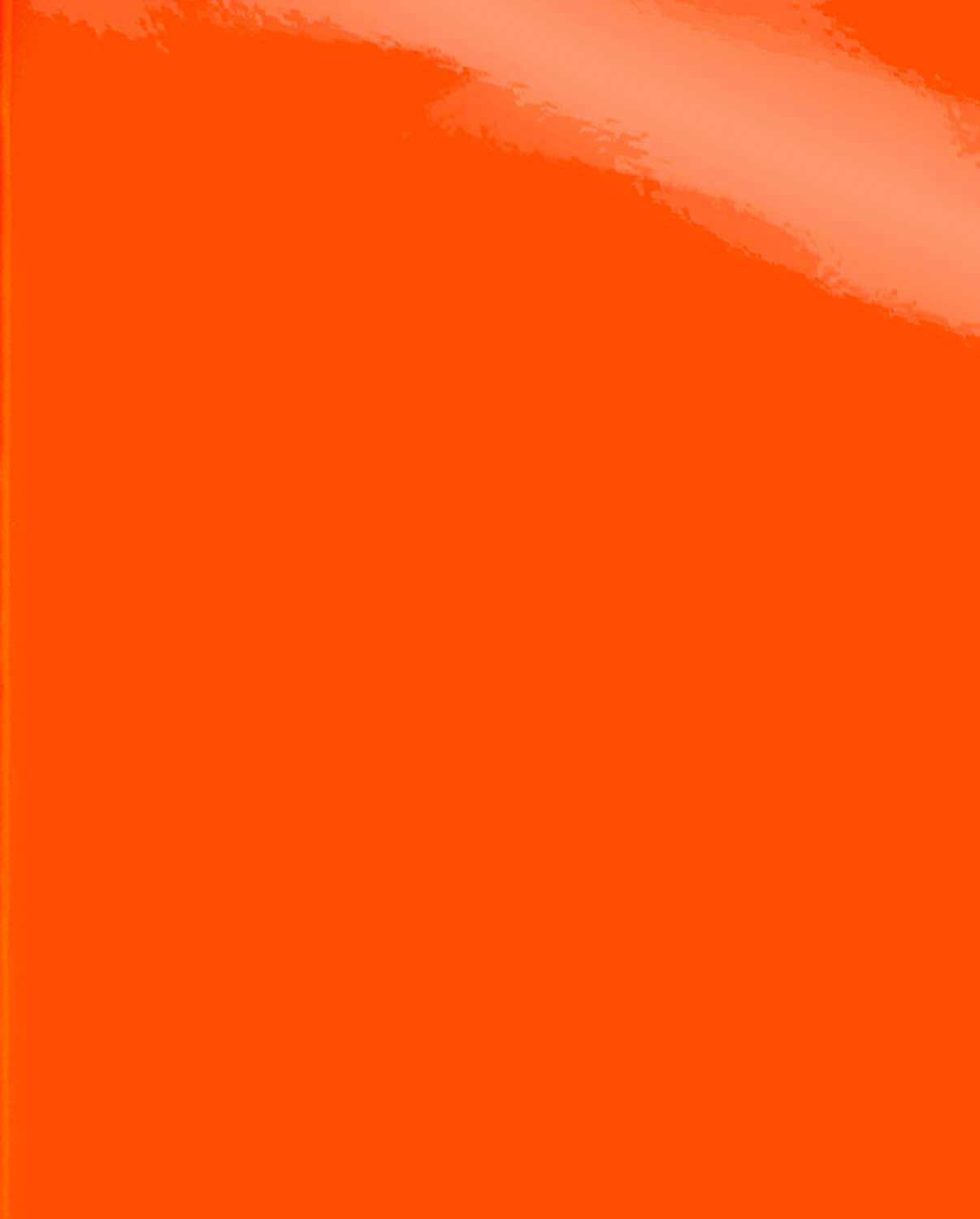 NUUNA Notebook Neon Orange Candy S