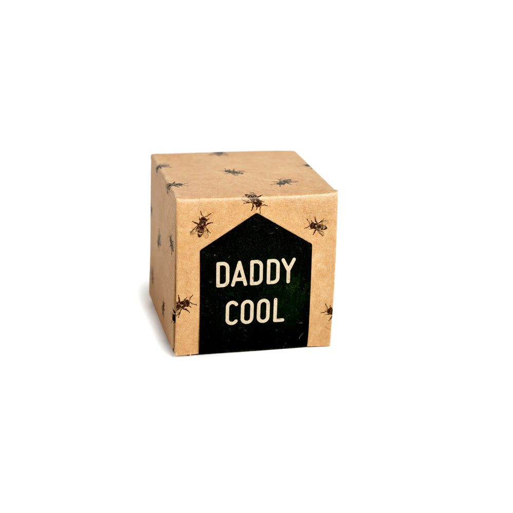 Daddy Cool - Honey Praline with Coffee