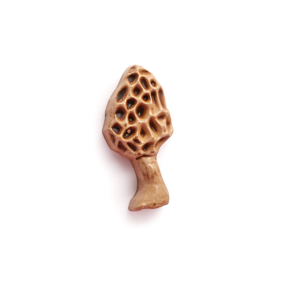 Morel Mini Magnet
