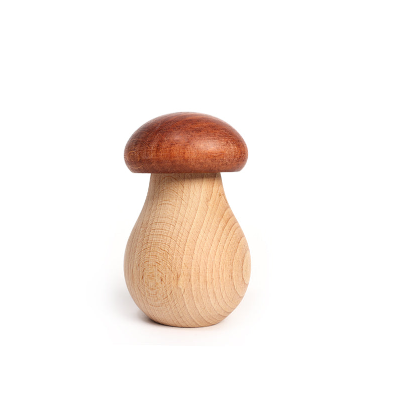 Nutcracker Mushroom Light Brown Cap