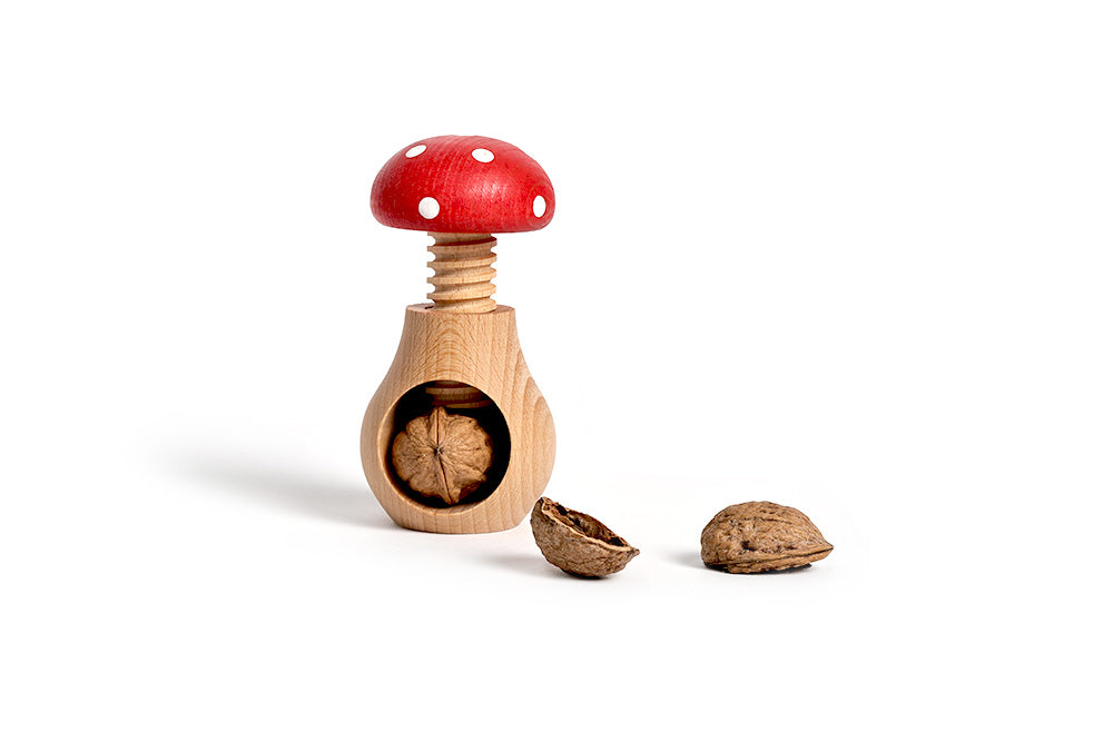 Nutcracker Mushroom Fly Agaric