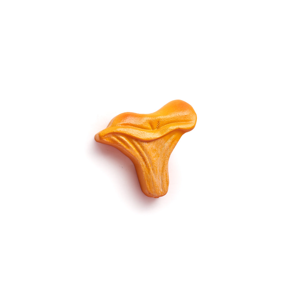 Chanterelle Mini Magnet