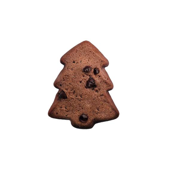 Winter Chocolate Cookies