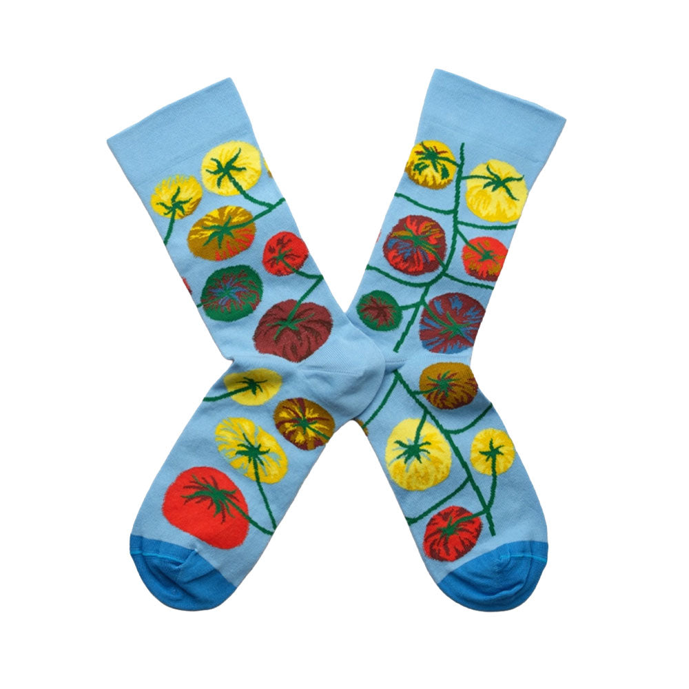 Socks Tomato Azure FS801 (39-41)
