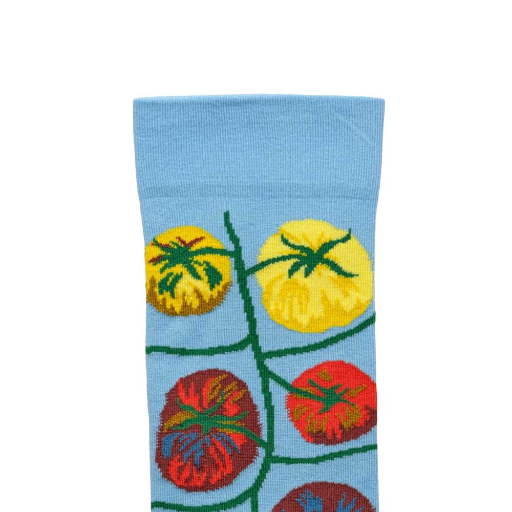 Socks Tomato Azure FS801 (39-41)