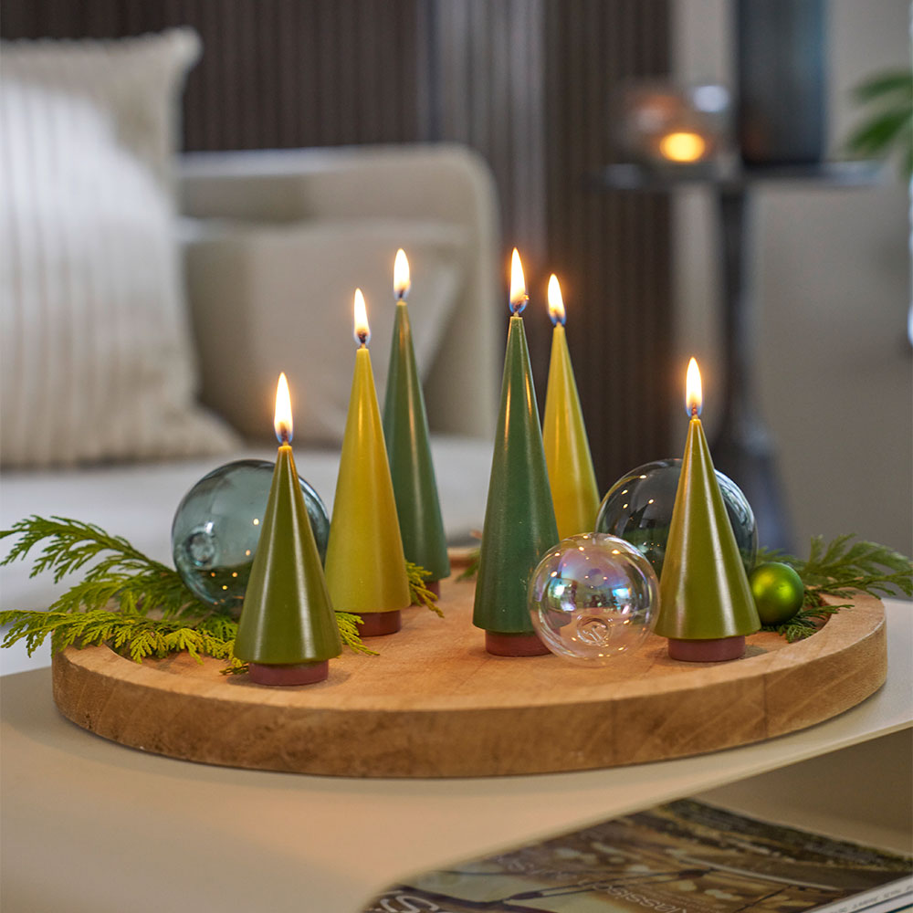 Kerzenbaum M Moos