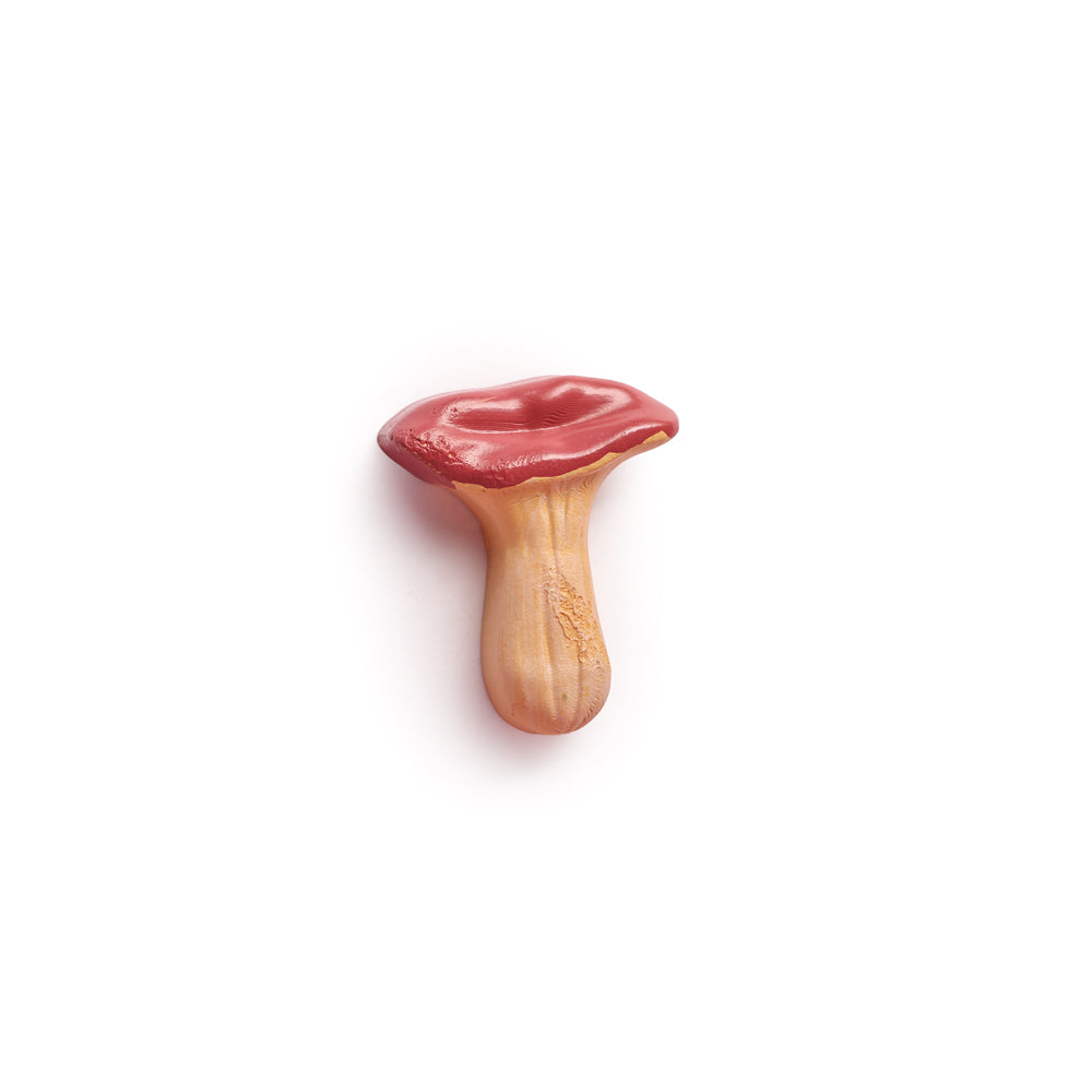Clitocybe Mini Magnet