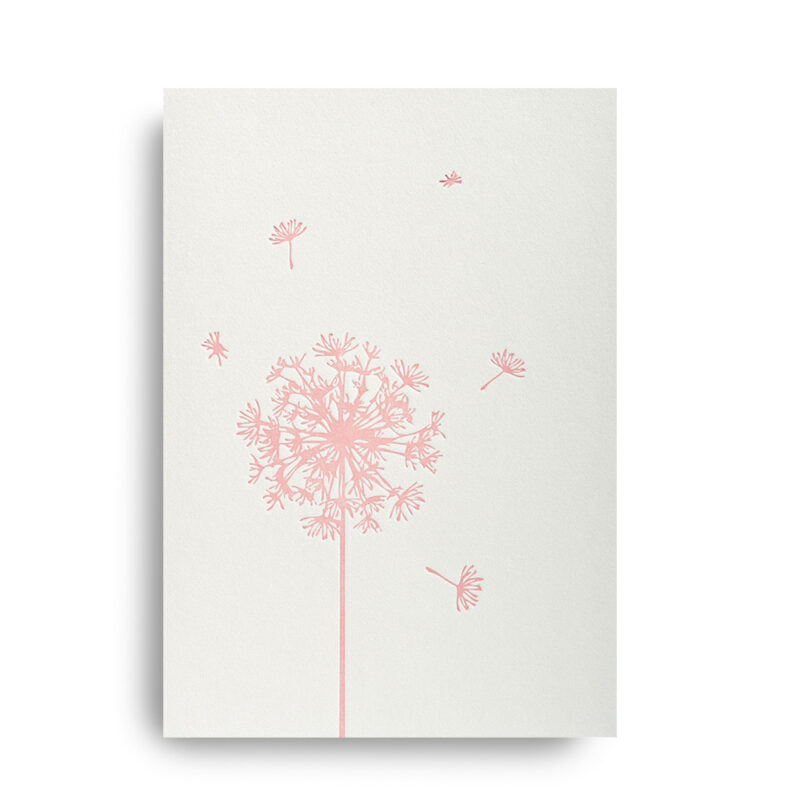 Klappkarte Pusteblume Rosé