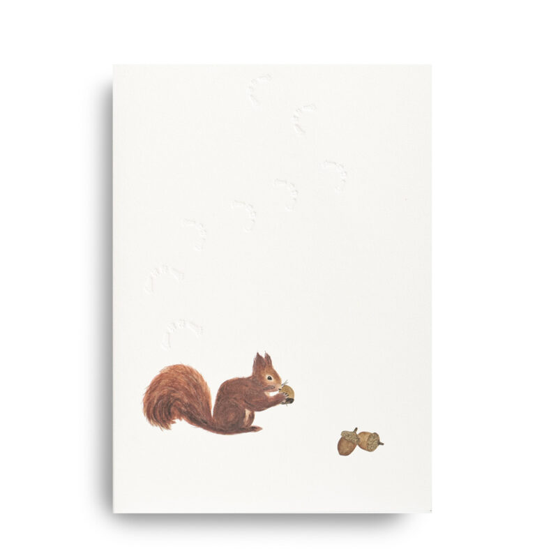 Klappkarte Eichhhörnchen