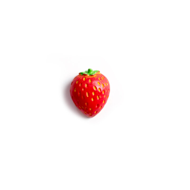 Erdbeere Magnet